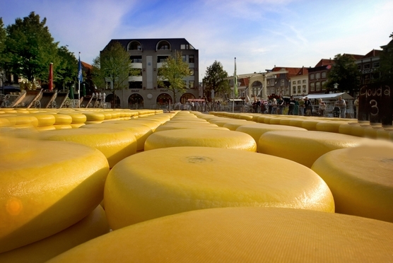 Alkmaar cheese market - Photo by: www.vvvhartvannoordholland.nl