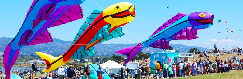 Berkeley Kite Festival & West Coast Kite Championships - Photo by: www.highlinekites.com