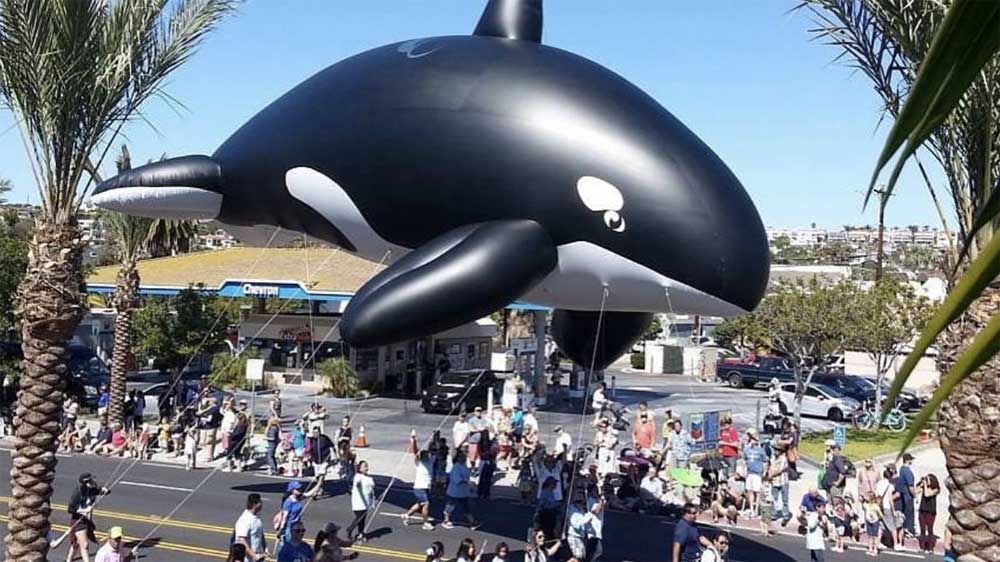 Photo from facebook.com/DPFestivalOfWhales