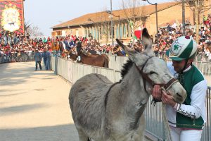 Donkey-palio in Torrita di Siena - Photo courtesy of Associazione Sagra San Giuseppe