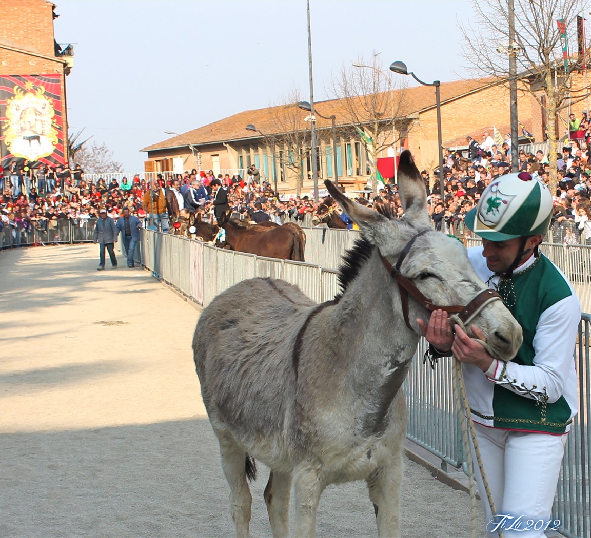 Donkey-palio in Torrita di Siena - Photo courtesy of Associazione Sagra San Giuseppe