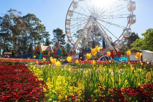 Floriade - Commonwealth Park - Photo by: www.floriadeaustralia.com