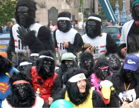 Great Gorilla Run / London UK - Photo by: www.greatgorillarun.org