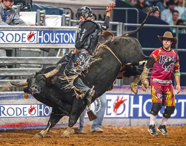 Image: www.rodeohouston.com