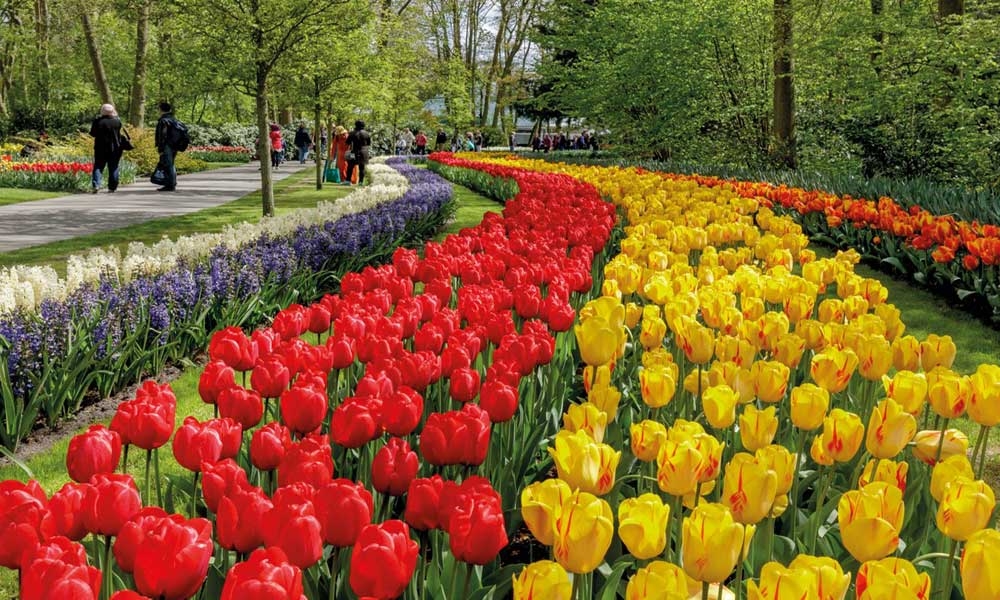 Keukenhof Gardense - Photo by: keukenhof.nl