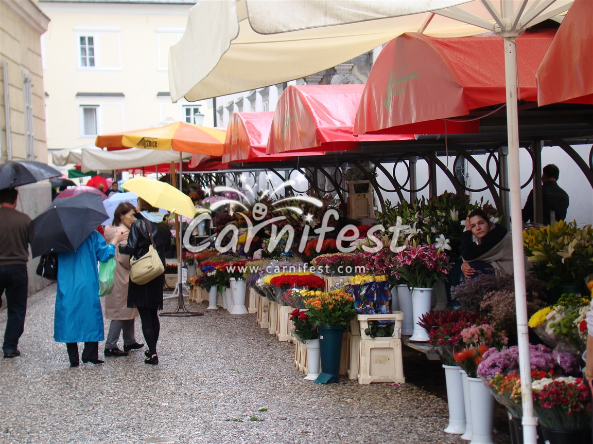 Ljubljana Central Market - CarniFest Online Photo © All Rights Reserved