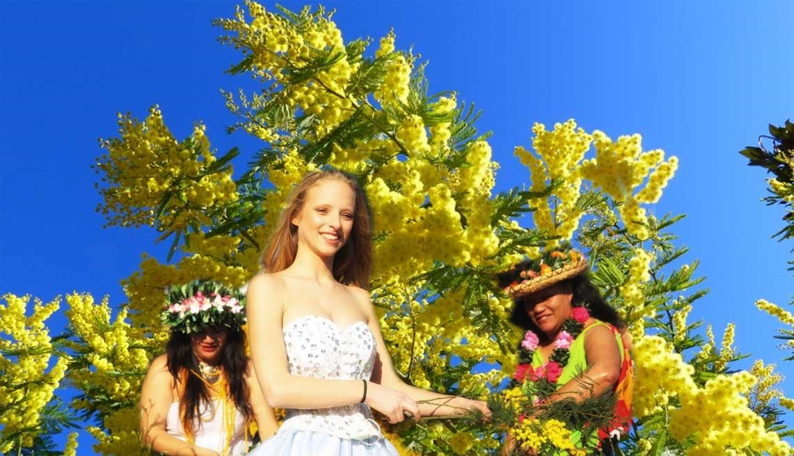 Mimosa Festival in Mandelieu la Nnapoule - Photo by: www.mandelieu.com