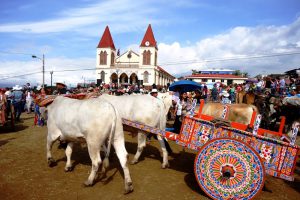 Oxcart Drivers Day - Photo by: universal-edu.com/additional-activities/activity-calendar/dia-de-los-boyeros/