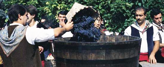 Rioja Wine Harvest Festival - Photo by: www.spain.info